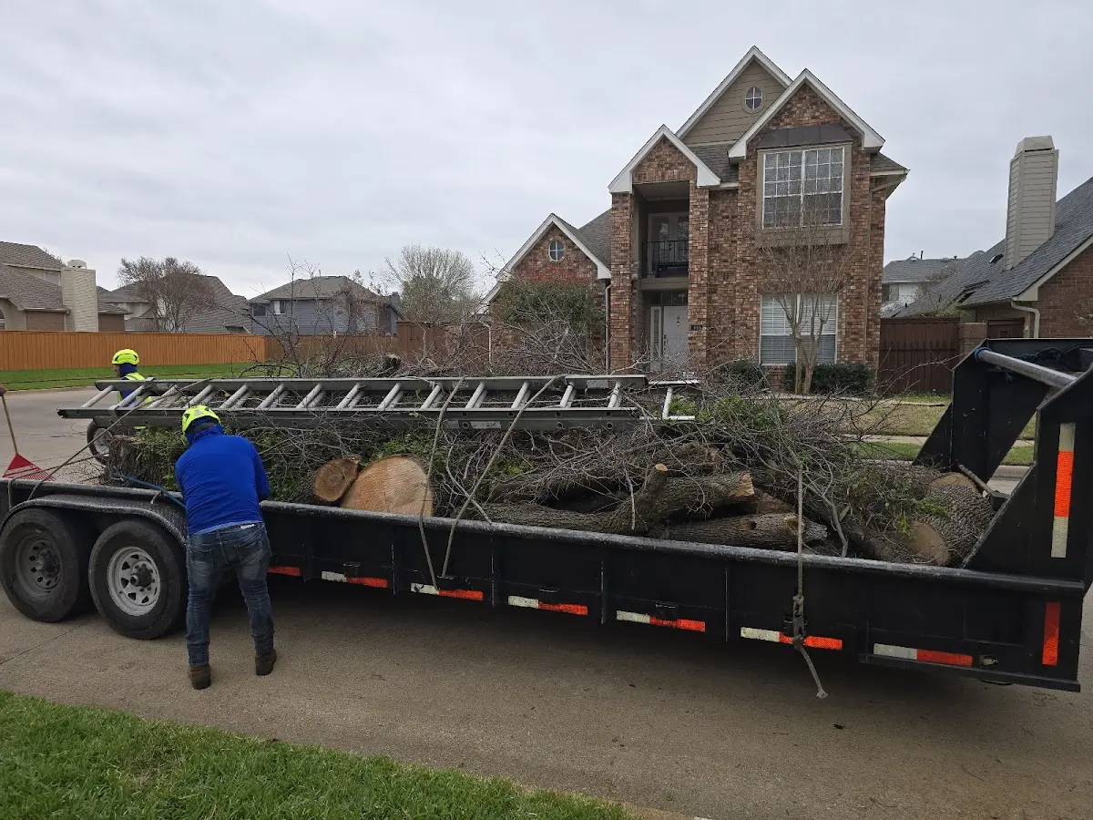 Expert Lot Clearing with proper safety equipment in Sardis